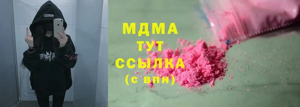 индика Верхний Тагил